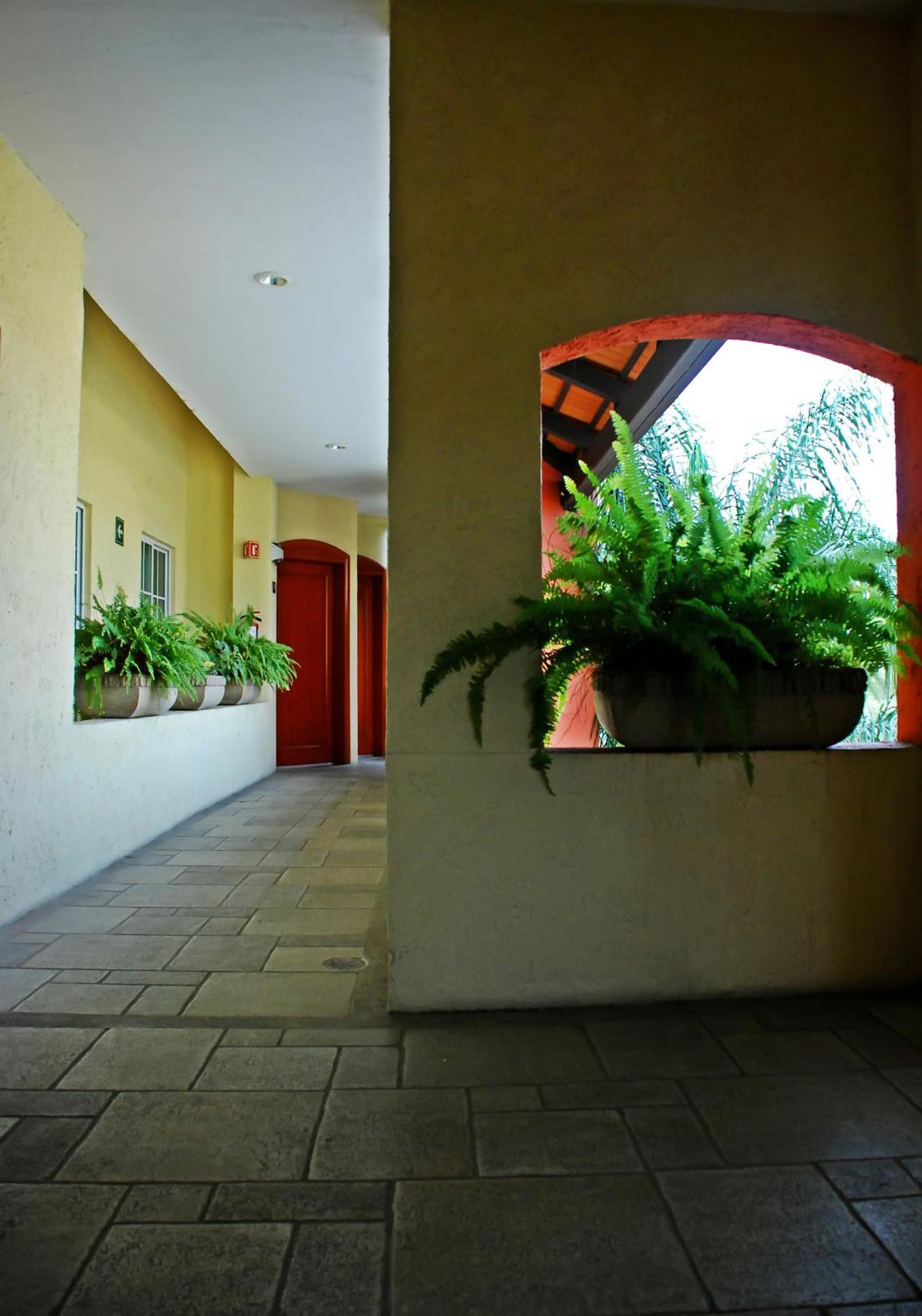 Aurea Hotel And Suites Zapopan Exteriér fotografie